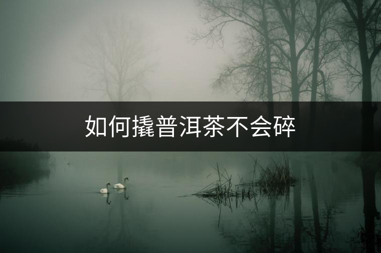 如何撬普洱茶不會碎 如何撬普洱茶不會碎