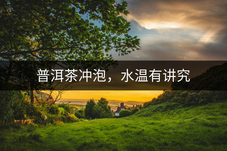 普洱茶沖泡，水溫有講究