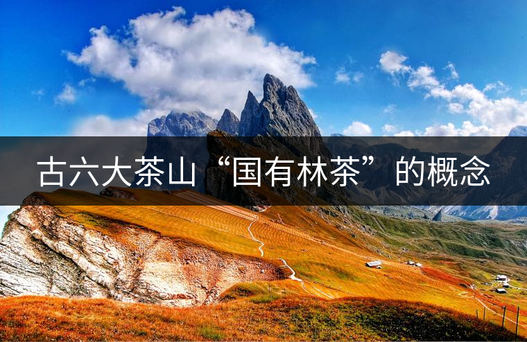 古六大茶山“國(guó)有林茶”的概念