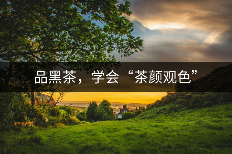 品黑茶，學會“茶顏觀色”