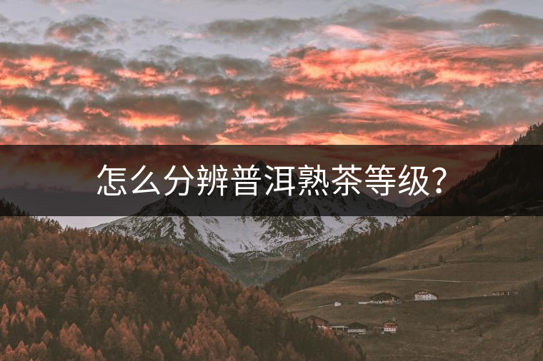 怎么分辨普洱熟茶等級？