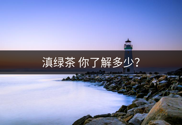 滇綠茶 你了解多少？
