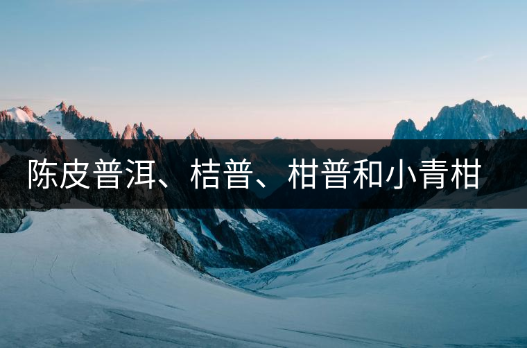 陳皮普洱、桔普、柑普和小青柑茶的分辨技巧