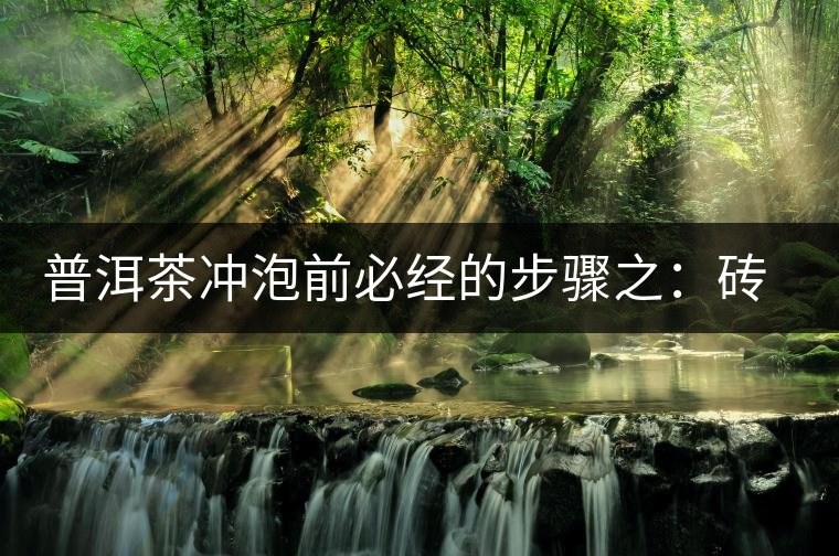 普洱茶沖泡前必經(jīng)的步驟之：磚茶如何撬？