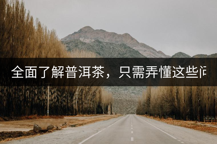 全面了解普洱茶，只需弄懂這些問(wèn)題！