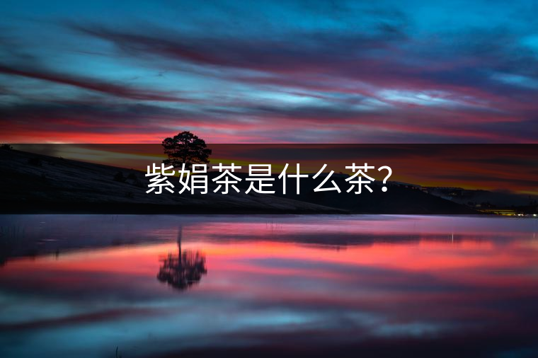 紫娟茶是什么茶？