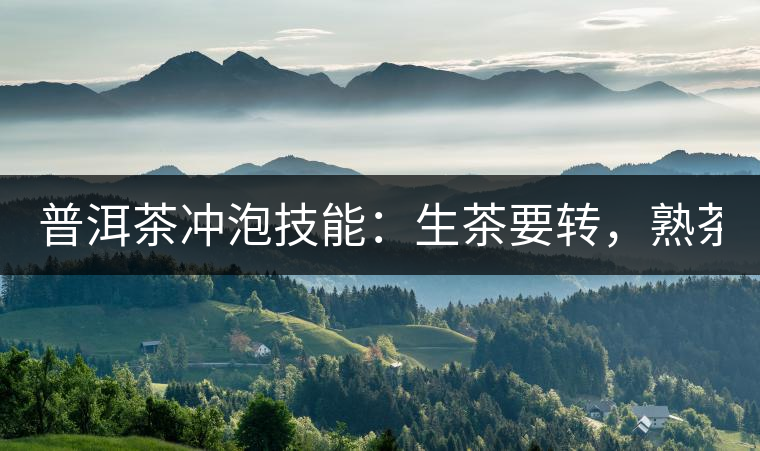 普洱茶沖泡技能：生茶要轉(zhuǎn)，熟茶要柔！