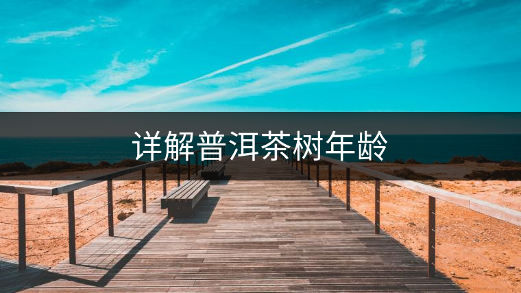 詳解普洱茶樹(shù)年齡