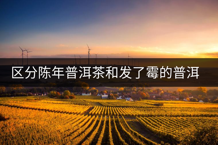 區(qū)分陳年普洱茶和發(fā)了霉的普洱有什么不同？