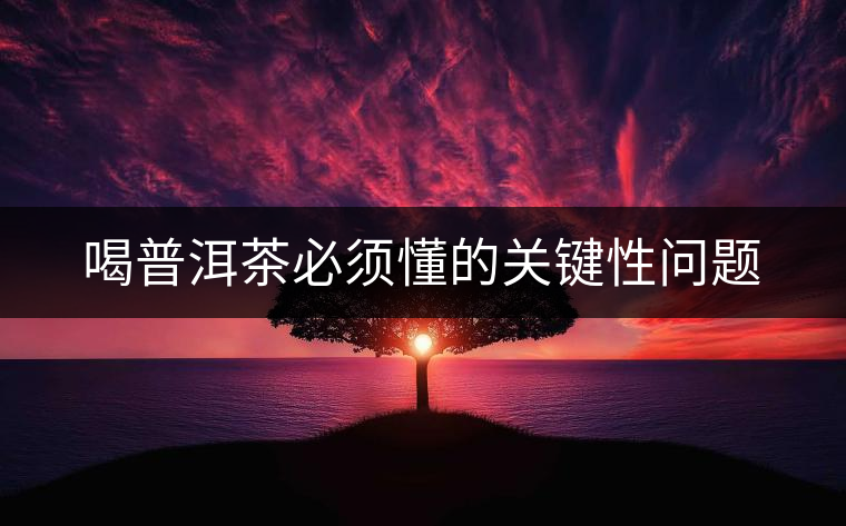 喝普洱茶必須懂的關(guān)鍵性問(wèn)題