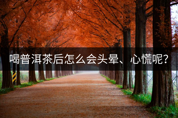 喝普洱茶后怎么會頭暈、心慌呢？