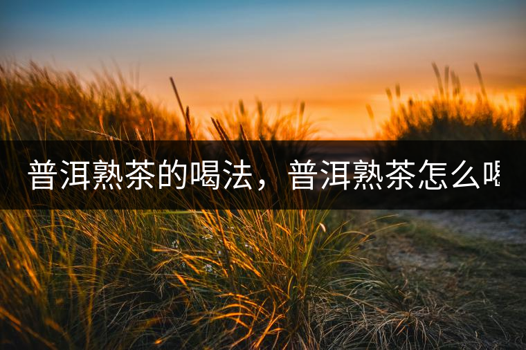 普洱熟茶的喝法，普洱熟茶怎么喝？