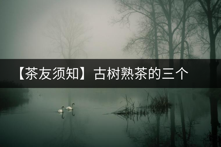 【茶友須知】古樹熟茶的三個(gè)誤區(qū)