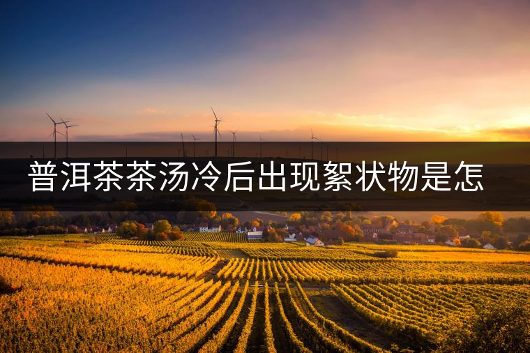普洱茶茶湯冷后出現絮狀物是怎么回事？