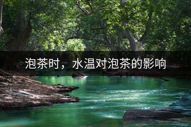 泡茶時，水溫對泡茶的影響
