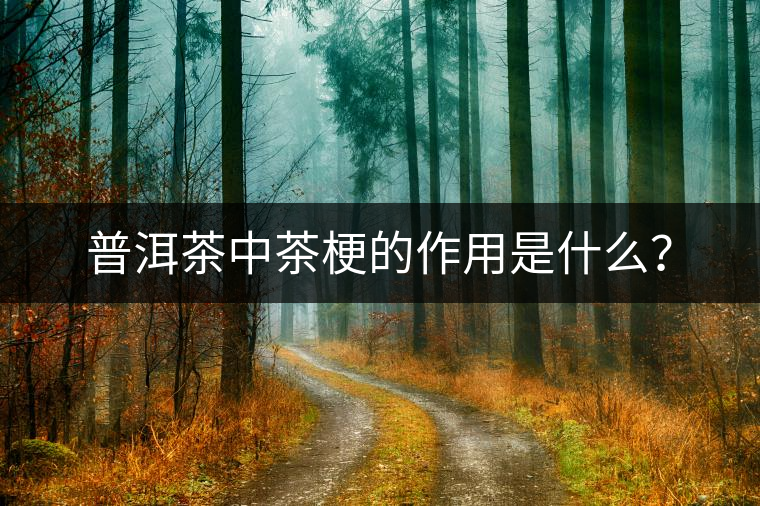 普洱茶中茶梗的作用是什么？