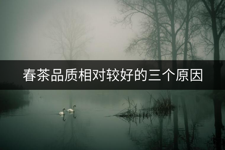 春茶品質(zhì)相對(duì)較好的三個(gè)原因