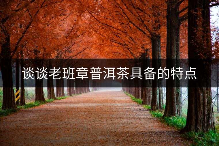 談談老班章普洱茶具備的特點