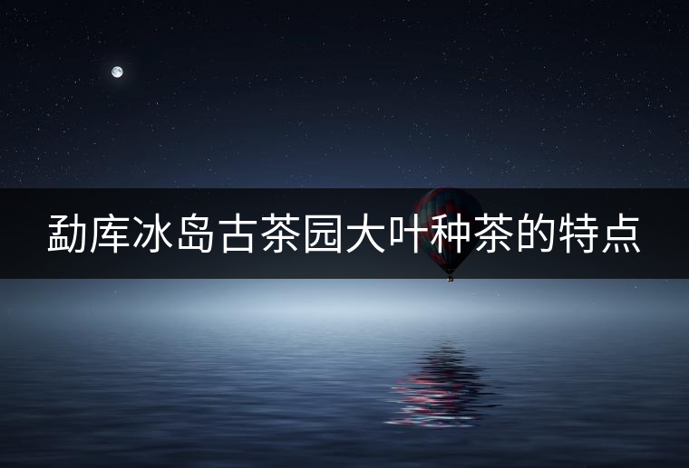 勐庫冰島古茶園大葉種茶的特點