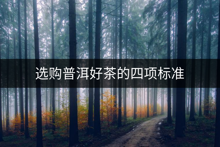 選購(gòu)普洱好茶的四項(xiàng)標(biāo)準(zhǔn) 選購(gòu)普洱好茶的四項(xiàng)標(biāo)準(zhǔn)
