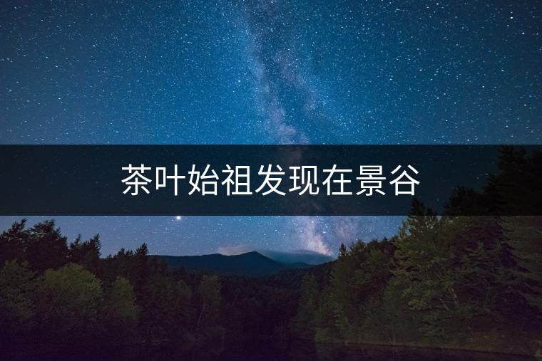 茶葉始祖發(fā)現(xiàn)在景谷