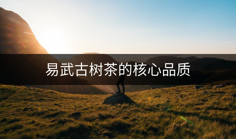 易武古樹(shù)茶的核心品質(zhì)