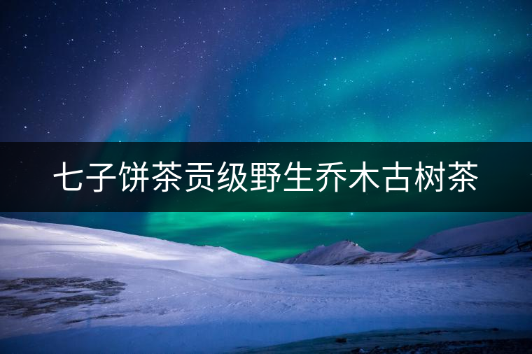 七子餅茶貢級(jí)野生喬木古樹(shù)茶