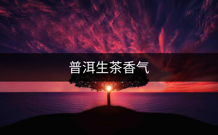 普洱生茶香氣 普洱生茶香氣