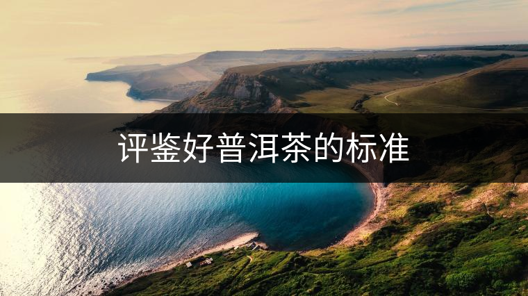 評鑒好普洱茶的標(biāo)準(zhǔn)