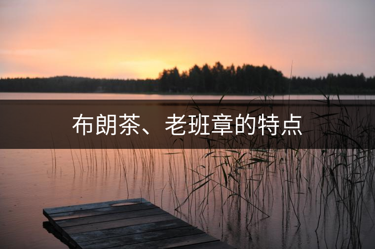布朗茶、老班章的特點