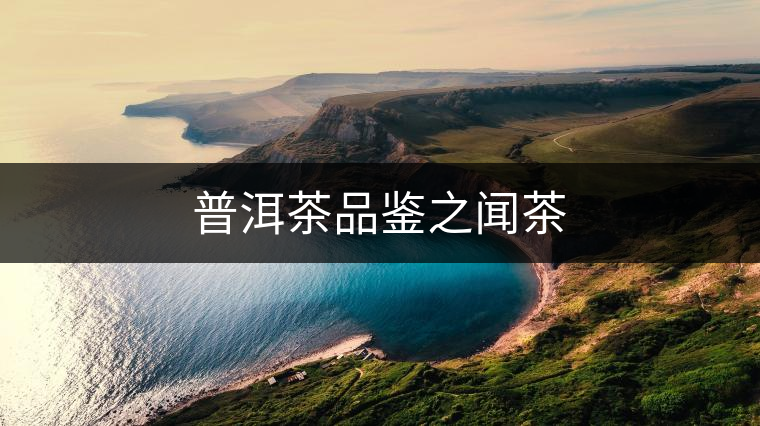 普洱茶品鑒之聞茶 普洱茶品鑒之聞茶