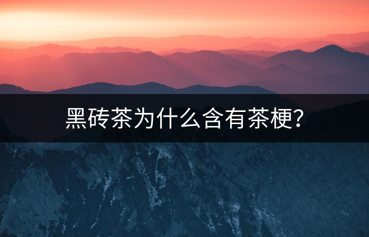 黑磚茶為什么含有茶梗？