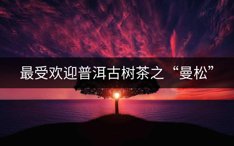 最受歡迎普洱古樹(shù)茶之“曼松” 最受歡迎普洱古樹(shù)茶之“曼松”