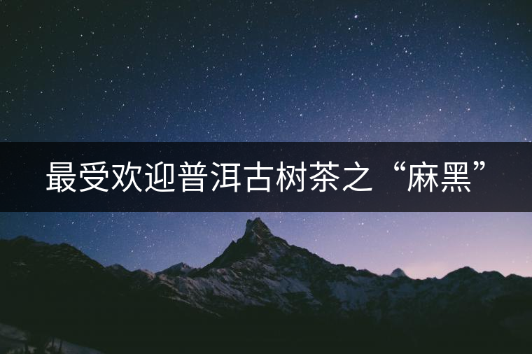 最受歡迎普洱古樹(shù)茶之“麻黑”