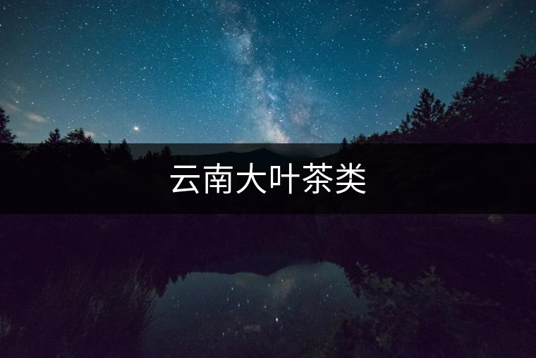 云南大葉茶類(lèi) 云南大葉茶類(lèi)