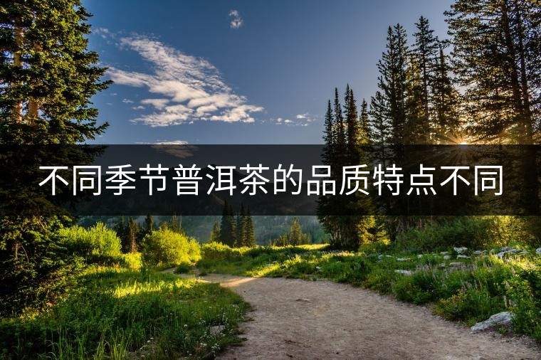 不同季節(jié)普洱茶的品質特點不同 不同季節(jié)普洱茶的品質特點不同