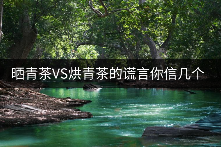 曬青茶VS烘青茶的謊言你信幾個(gè)？