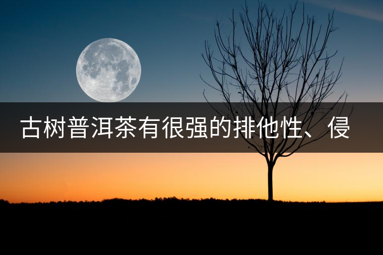 古樹普洱茶有很強的排他性、侵略性、吸納性