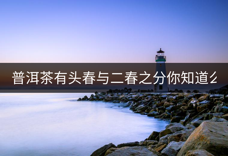 普洱茶有頭春與二春之分你知道么？