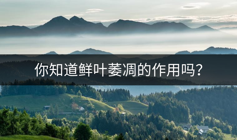 你知道鮮葉萎凋的作用嗎？