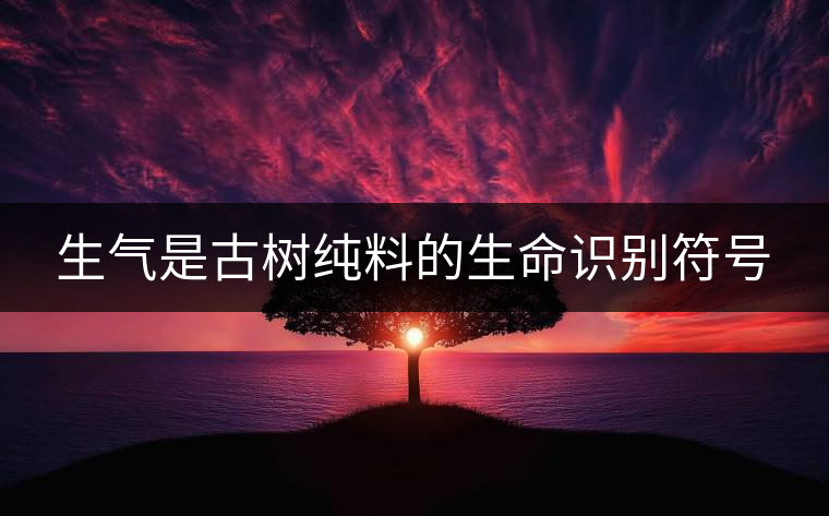 生氣是古樹(shù)純料的生命識(shí)別符號(hào)