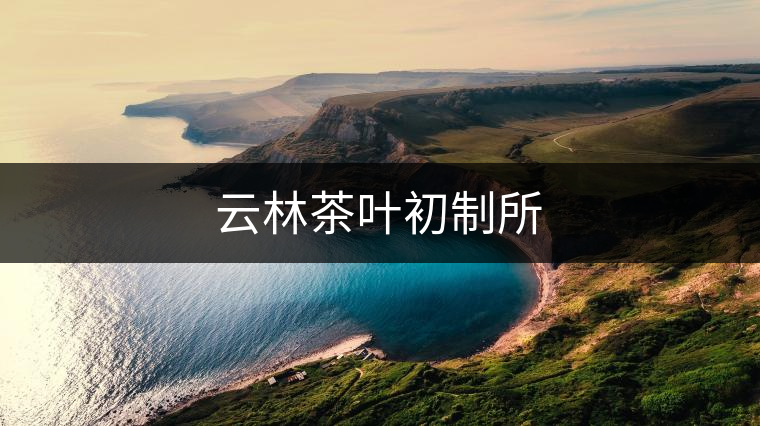 云林茶葉初制所