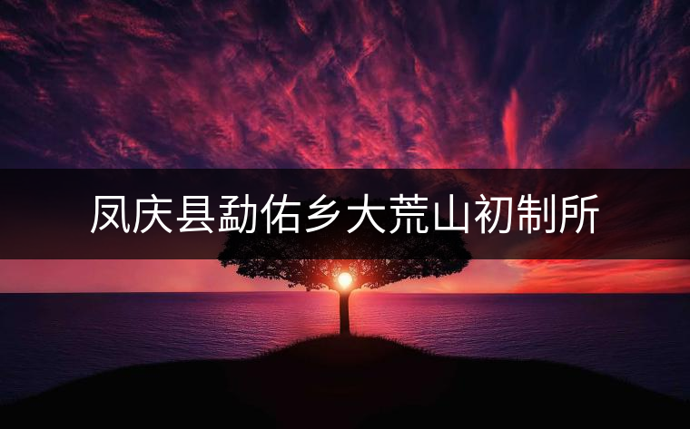 鳳慶縣勐佑鄉(xiāng)大荒山初制所