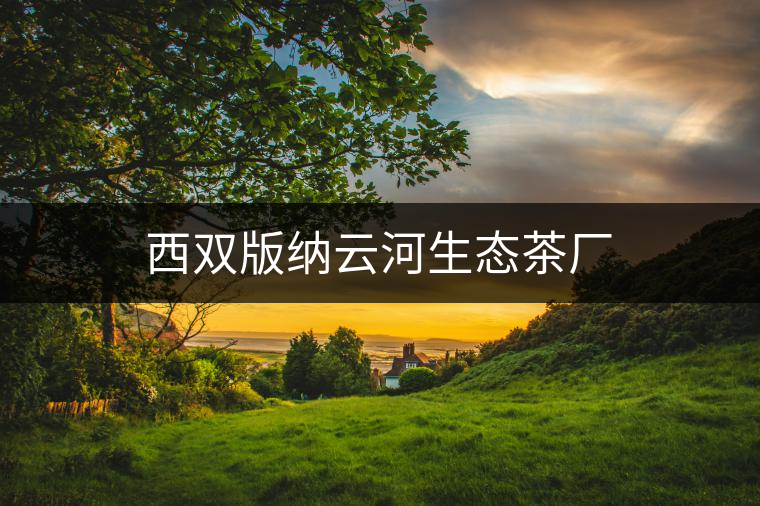 西雙版納云河生態(tài)茶廠(chǎng)