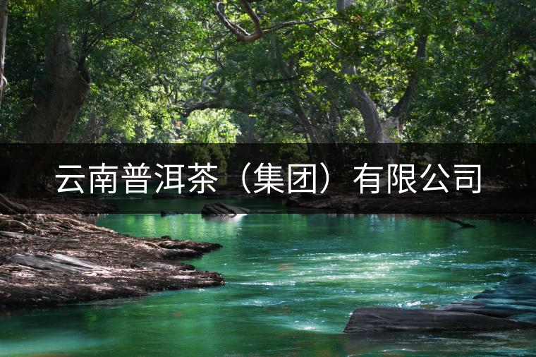 云南普洱茶（集團(tuán)）有限公司