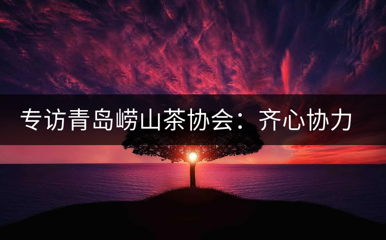 專(zhuān)訪青島嶗山茶協(xié)會(huì)：齊心協(xié)力共謀茶壇盛事