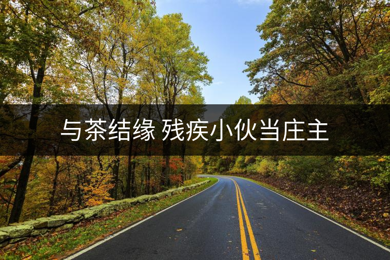 與茶結緣 殘疾小伙當莊主 與茶結緣 殘疾小伙當莊主