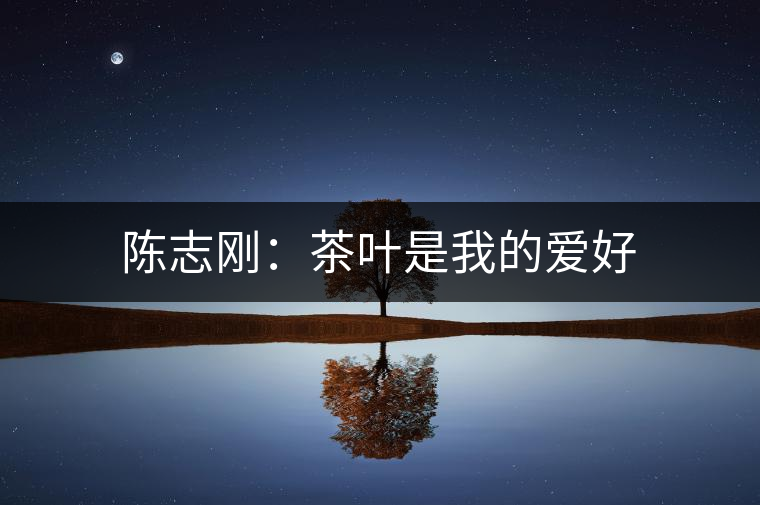 陳志剛：茶葉是我的愛(ài)好