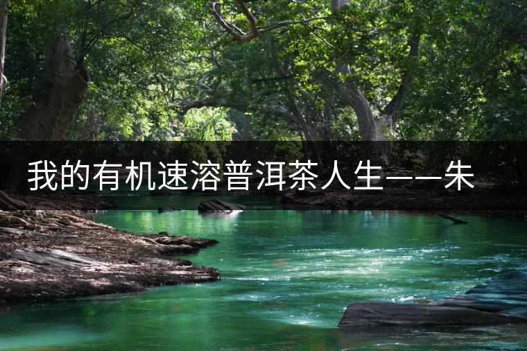 我的有機(jī)速溶普洱茶人生——朱向東