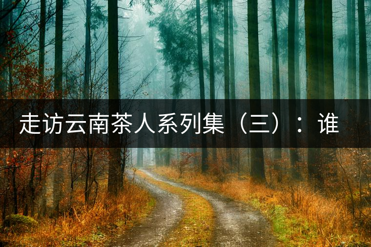 走訪云南茶人系列集（三）：誰說普洱不產(chǎn)茶？——張順高